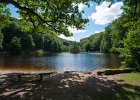 2016 07- D8H6221 : Besök i Växjö, Skåne, Söderåsens Nationalpark